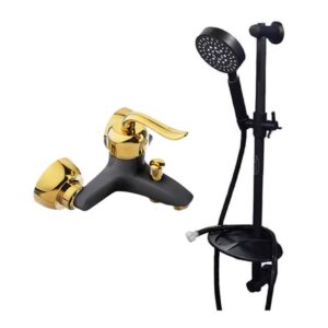 شیر حمام قاجاری به همراه علم دوش مشکی طلایی