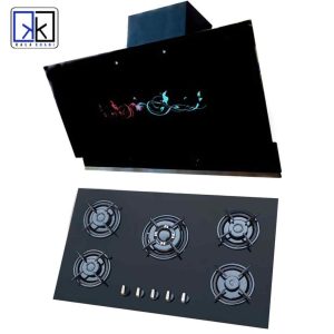 ست هود و اجاق گاز صفحه ای دنپاسر مدل TG21F